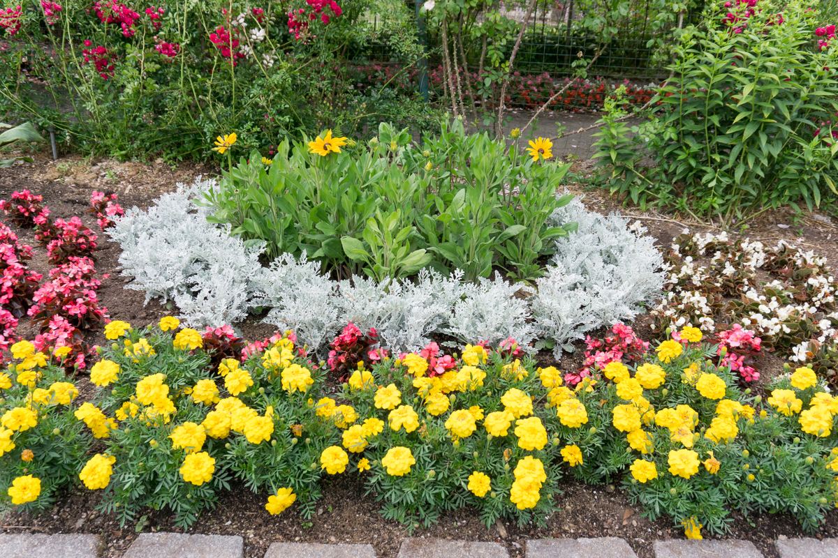 Bed maintenance and landscaping care