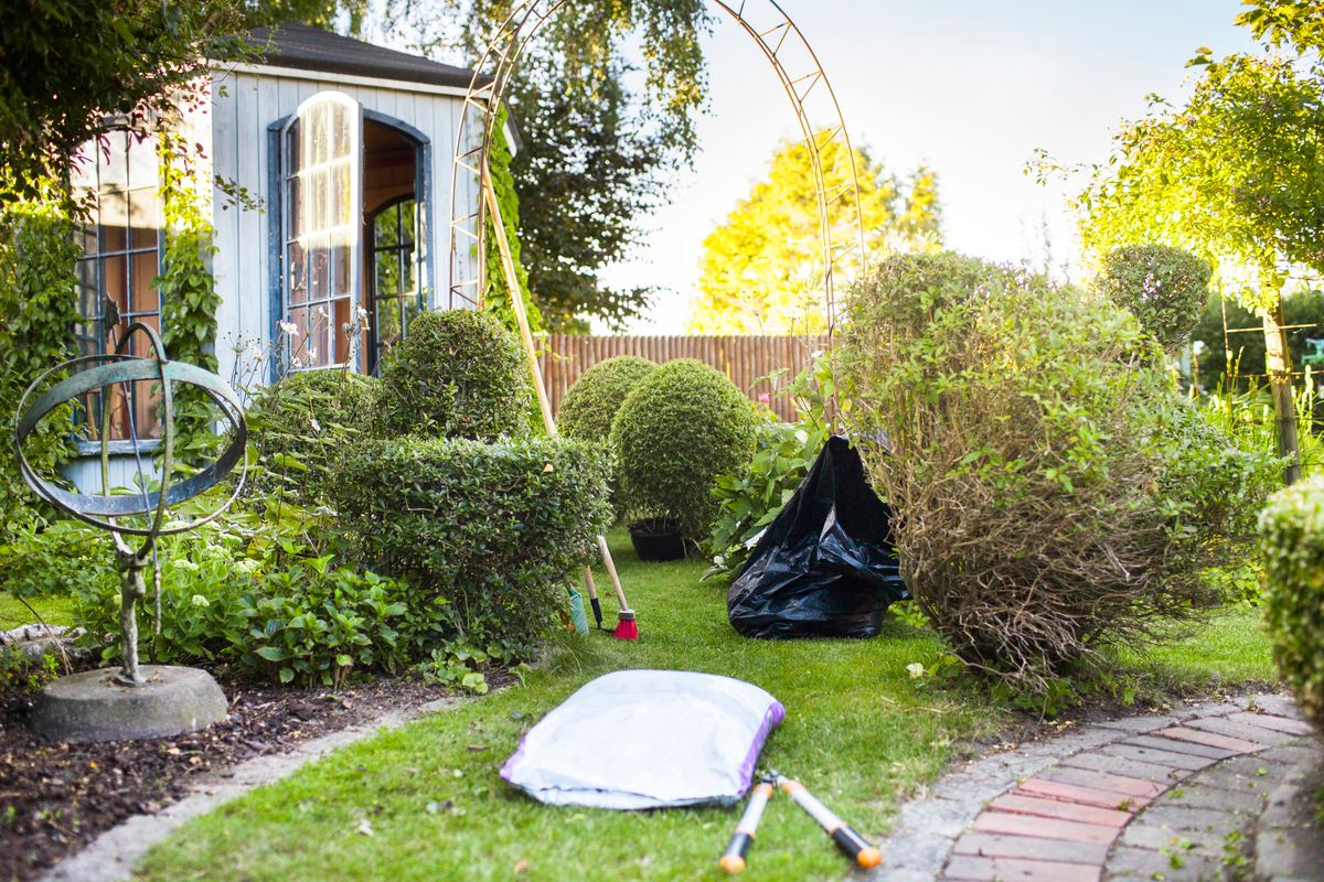 Yard cleanup and debris removal