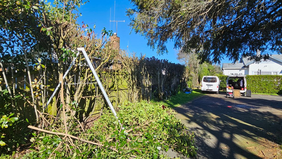 Hedge and shrub trimming service
